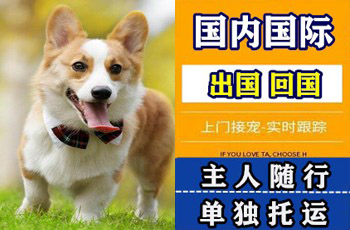 阜新市宠物托运公司阜新市宠物托运公司阜新市宠物托运公司