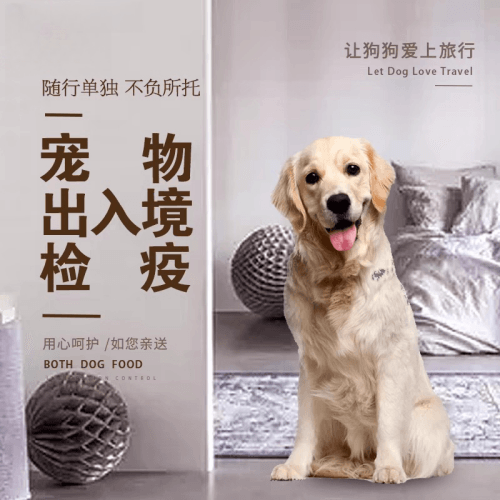 阜新市宠物托运到哥伦比亚猫狗宠物入境规定和