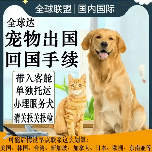 阜新市宠物托运到柬埔寨宠物入境规定和要求
