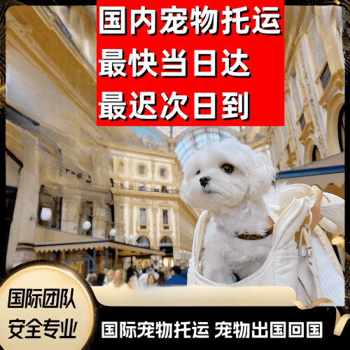 阜新市到澳大利亚（澳洲）宠物入境规定和要求
