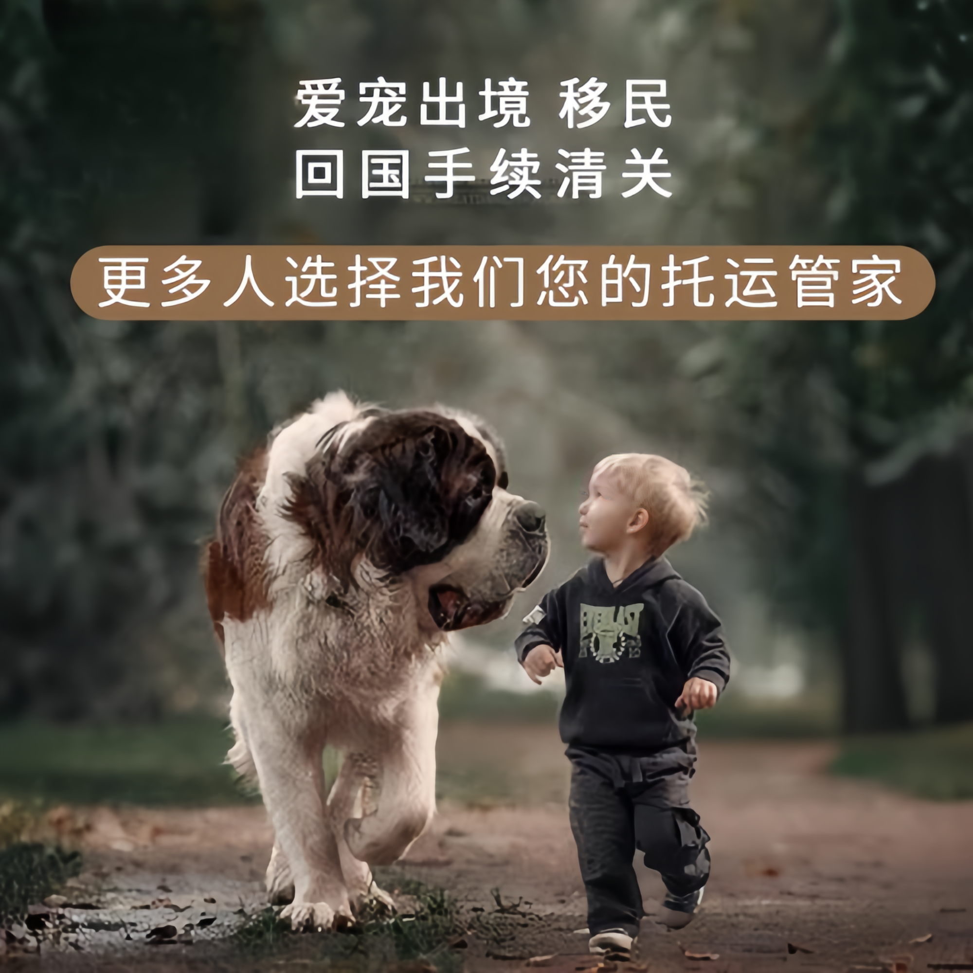 满财阜新市宠物全球达宠物托运在遵守入境目的地政策的条件