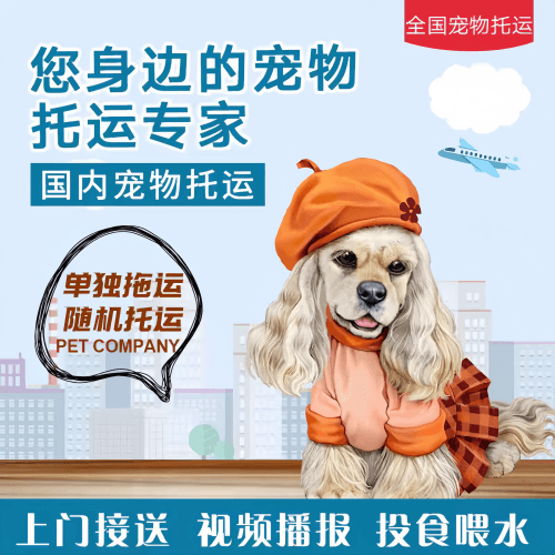 满财阜新市宠物全球达宠物托运作为专业的宠物运输代理机构